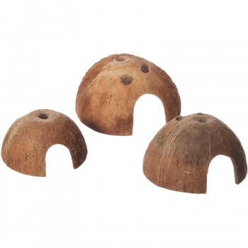 Maison noix de coco simple