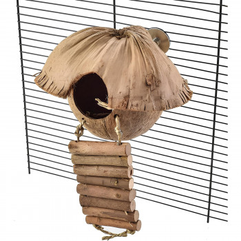 Maison noix de coco originale