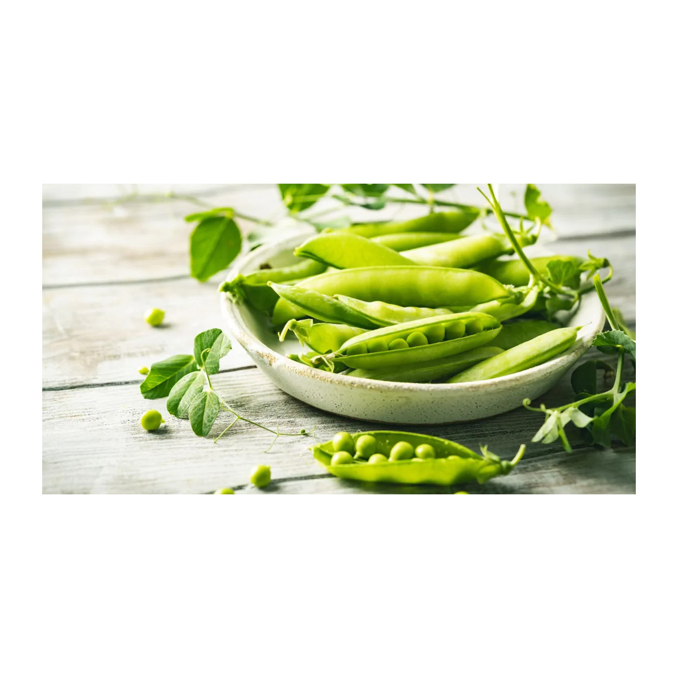 Cosses et tiges de pois Bio