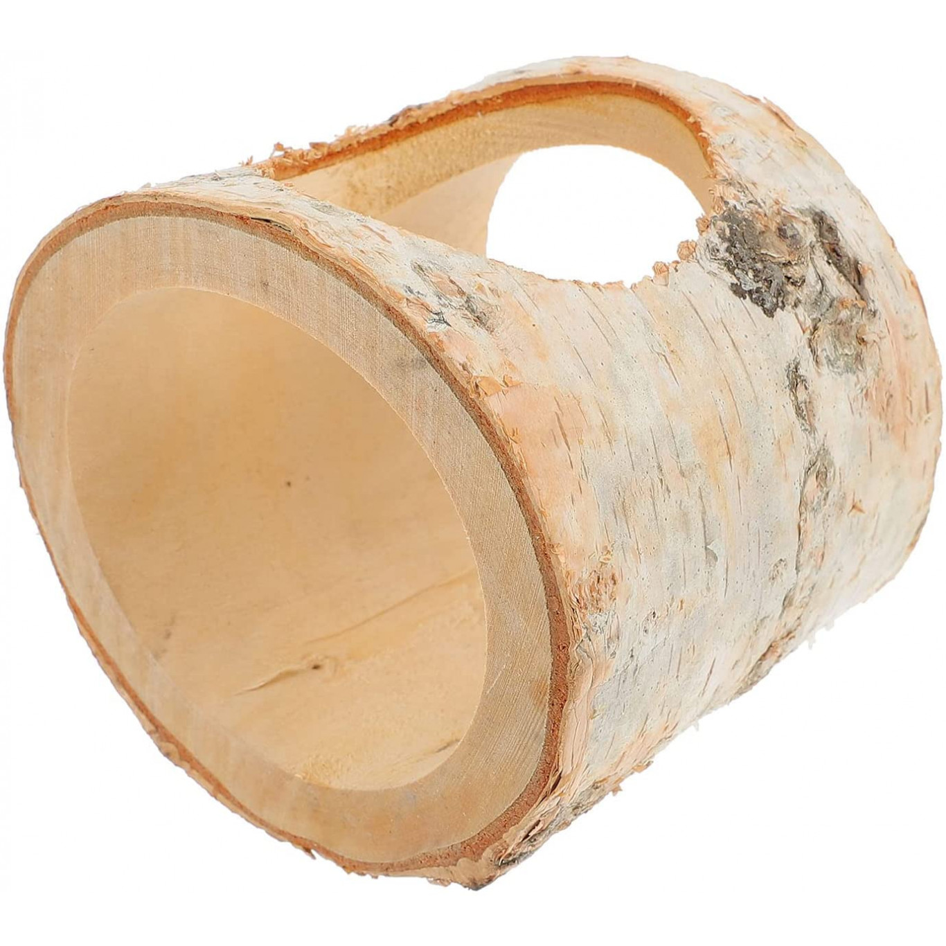 Tronc d'arbre en bois de bouleau