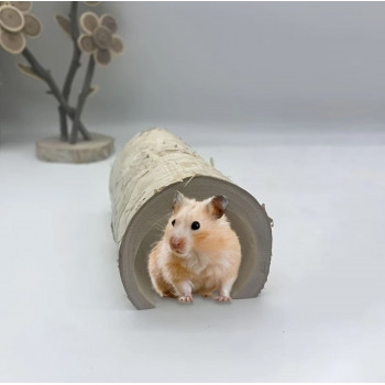 Tunnel en bois de bouleau