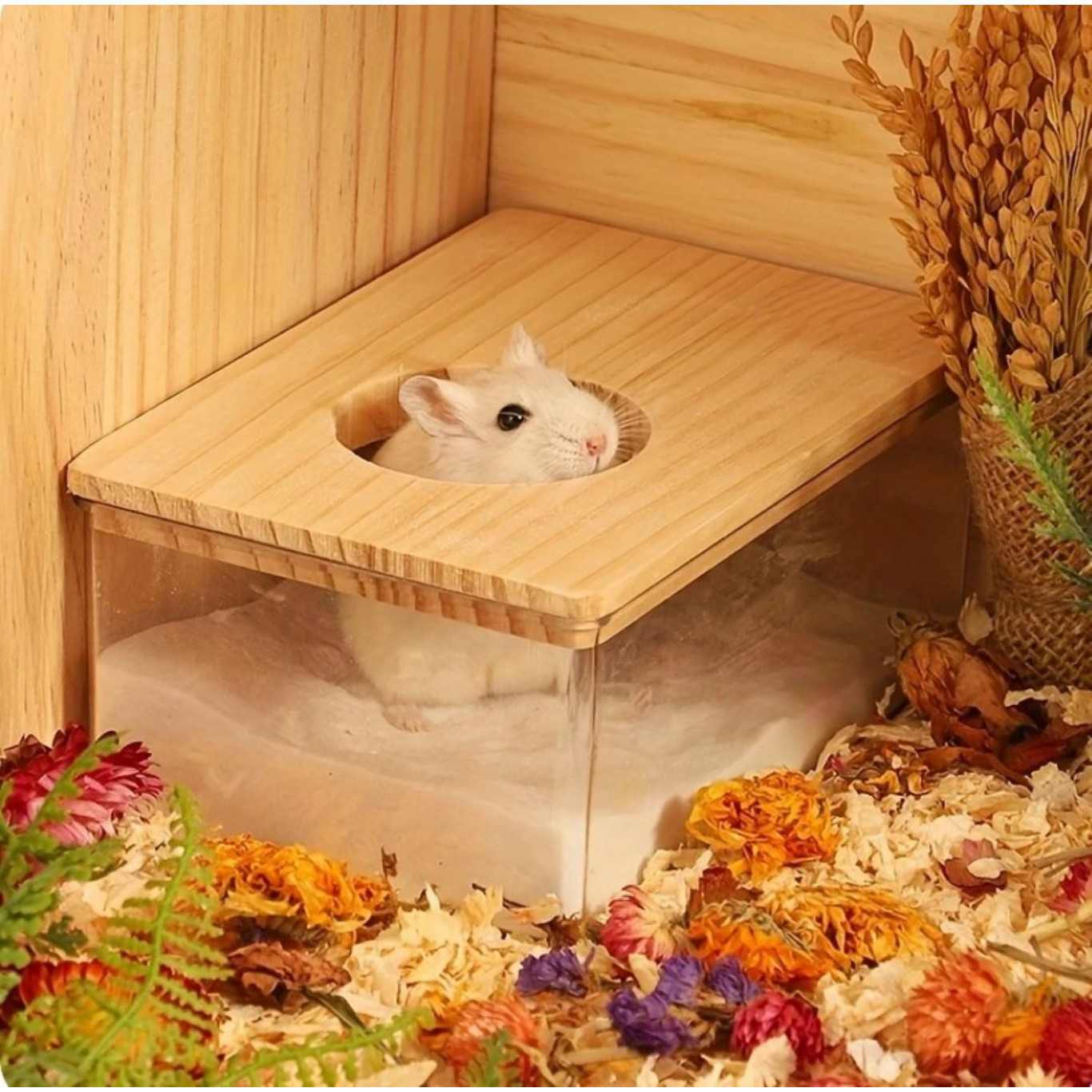 Bac à bain de sable