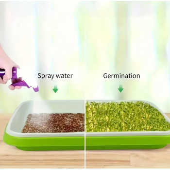 Plateau de germination