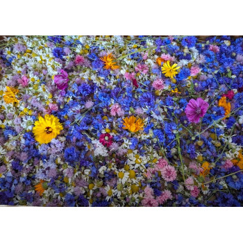 Merveilles champêtres