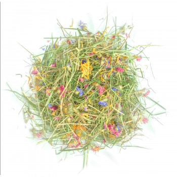 Foin de nos prairies aux fleurs