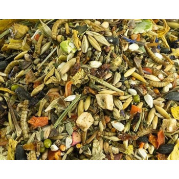 REVE D'HIBERNATION A L'AMIDONNIER SAUVAGE SPECIAL HAMSTER SYRIEN