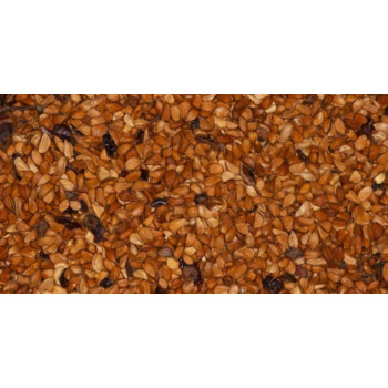 Graines d'églantier