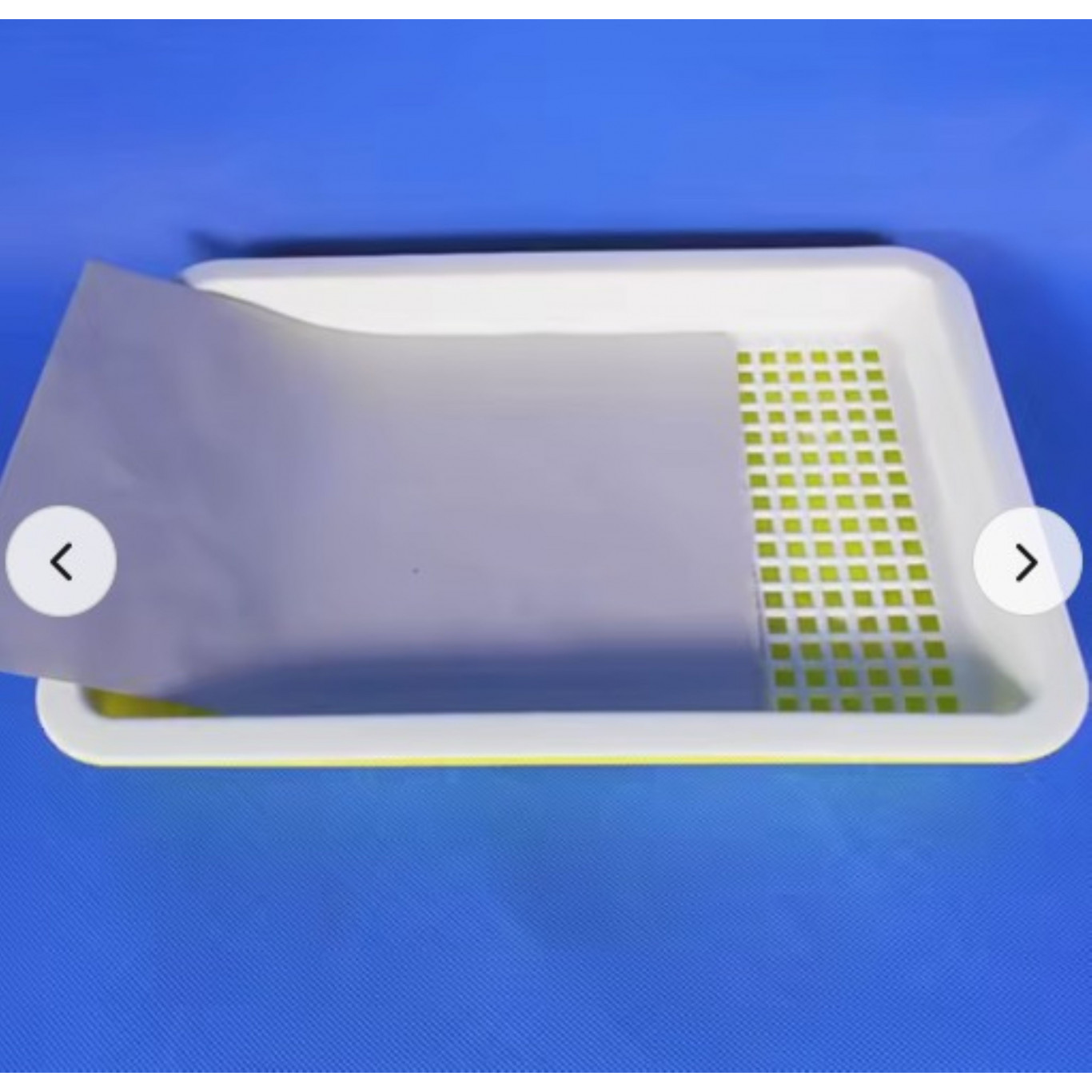 Feuilles pour culture hydroponique de graines à germer