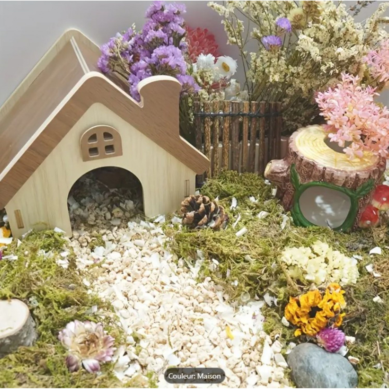 Maison pour mon hamster