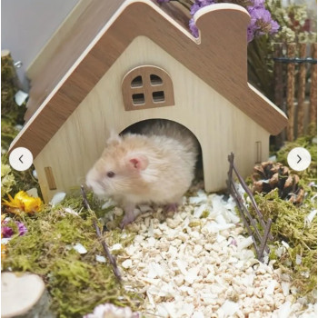 Maison pour mon hamster