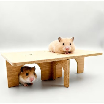 Jouet en bois à plusieurs entrées pour hamster