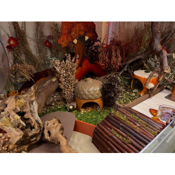 Maison céramique pour hamster