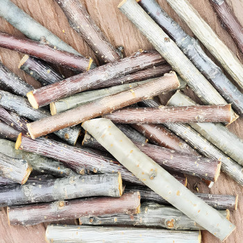 Bâtonnets de cerisier