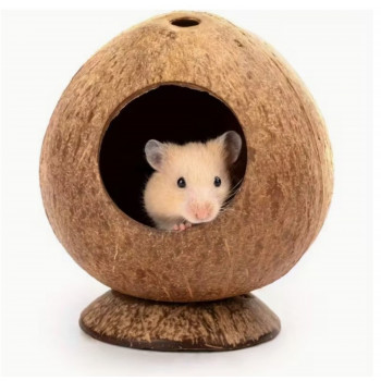 Noix de coco à socle