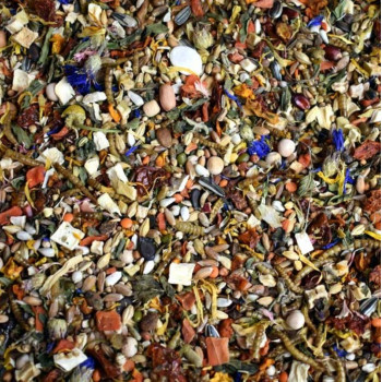 Solstice d'hiver spécial hamster syrien