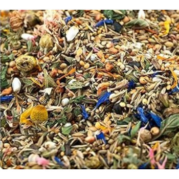 Solstice d'hiver spécial hamster nain