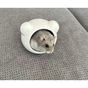 Petite maison en céramique