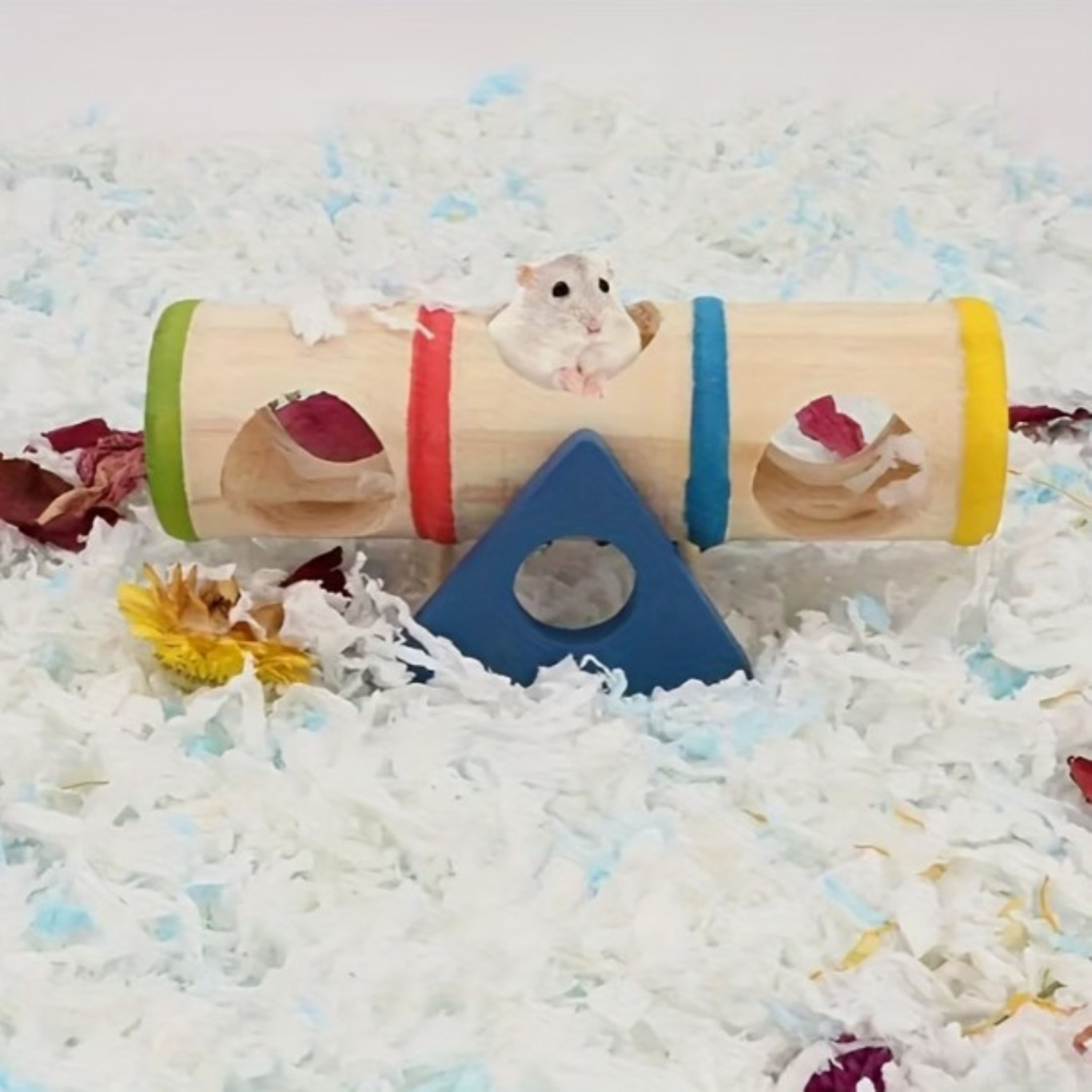 Balançoire pour hamster
