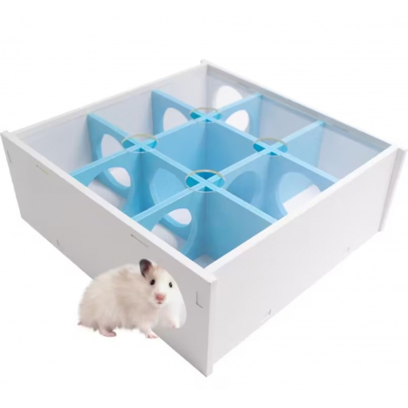 Labyrinthe pour mon hamster