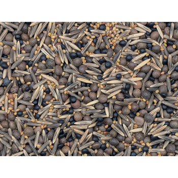 Festin de nos campagnes spécial hamsters syriens