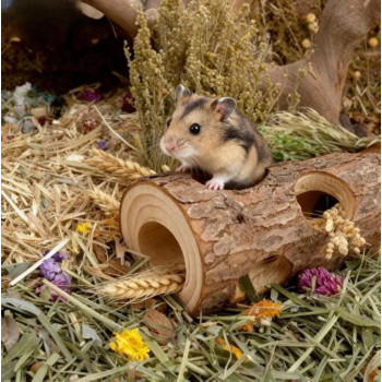 Tunnel pour hamster
