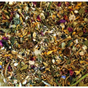 Equinoxe de printemps du pays du soleil levant spécial hamster nain