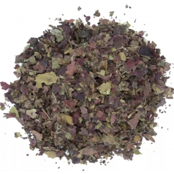 Feuilles de vigne rouge sauvages