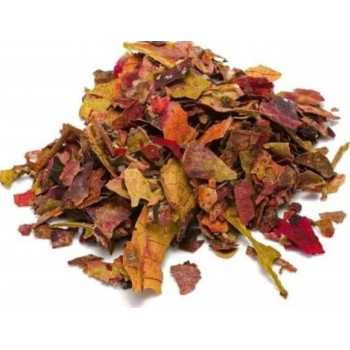 Feuilles de vigne rouge sauvages